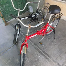 tigir 20 lyk