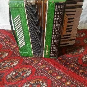 akardyýon