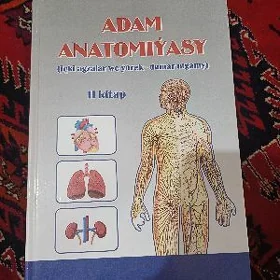 adam anatomiyasy kitap