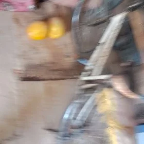 welisoped