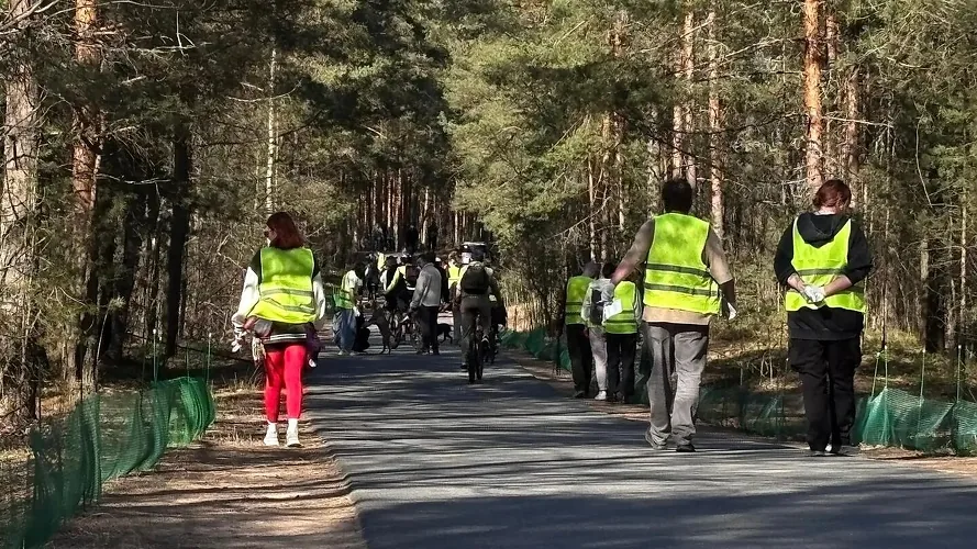Волонтёры в Петербурге перенесли через дорогу более 27 тысяч жаб и лягушек