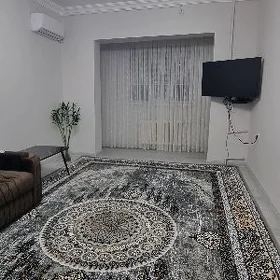 Arenda jay Mir 7