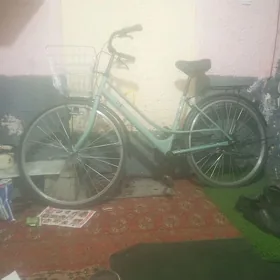 Yaposga 26