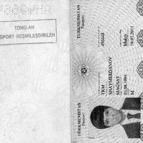 pasport yitdi