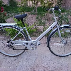Tigir 27