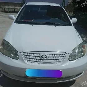 Toyota Corolla 2003