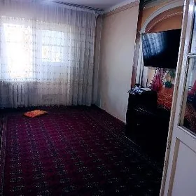 Мик Водник