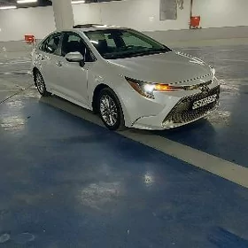 Toyota Corolla 2023