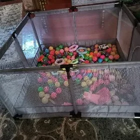 maneź oýun plaşatka