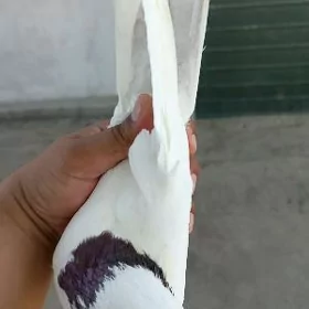 kepderi