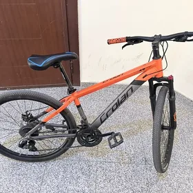 Crolon a3 tigr