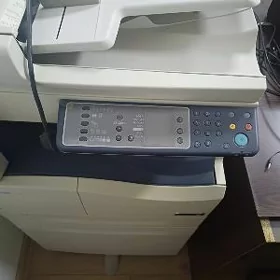 Xerox printer 5021