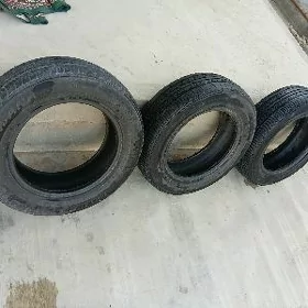 195.65.15 teker