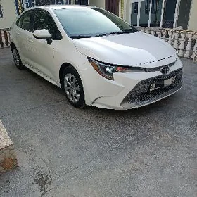 Toyota Corolla 2021