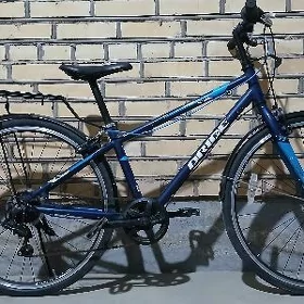 Arginal Tigir Made in Japan