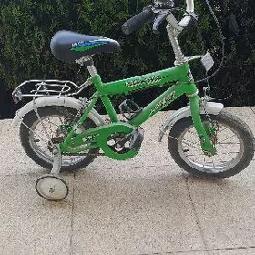 Çaga tigir.