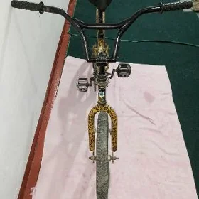 Bars Tigr