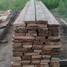 agaçlar