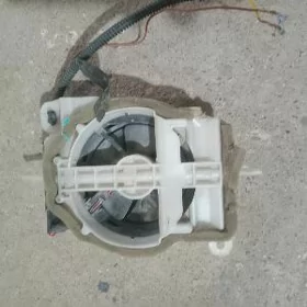 Es 2010 Sidenya Wintelyator