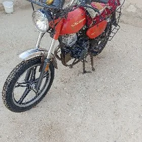 Fekon FK150-8G 1999