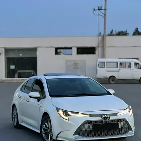 Toyota Corolla 2020