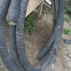 Slanga 50 lik