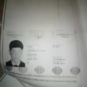 Pasport yitdi Sapargylyjow Ş