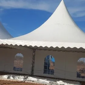 Gümmez palata