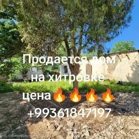 Плановый дом Хитровка Северная