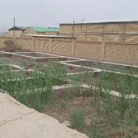 Дачный участок
