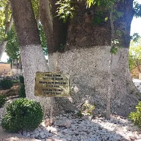 Jemagat Buzmeyin