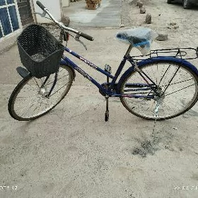 Welsopet