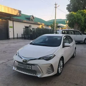 Toyota Corolla 2019