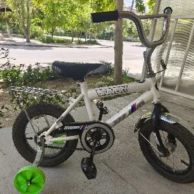 Çaga tigiri