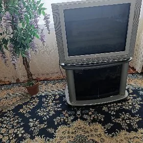Telewizor