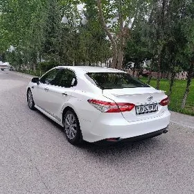 Toyota Camry 2019