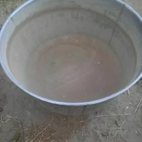 HAMYR GAZAN ( CCC P )