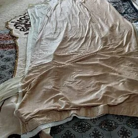 elitga tuty