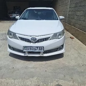 Toyota Camry 2011