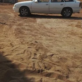 Opel Vectra 1989