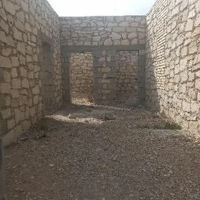 Nebitchi 43