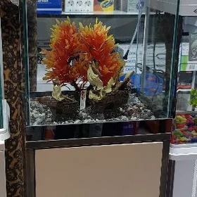 Akwarium Аквариум