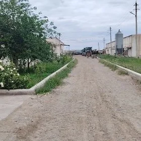 Towuk ferma