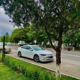 Chevrolet Malibu 2019