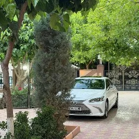 Lexus ES 350 2019