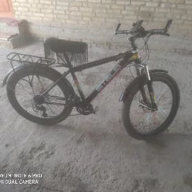satlyk welik