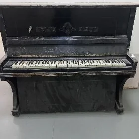 pianino