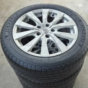 limited diska pakriska 17