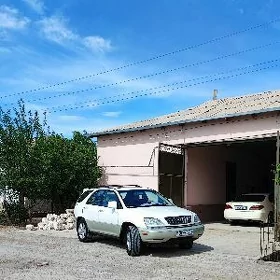 Lexus RX 300 2002