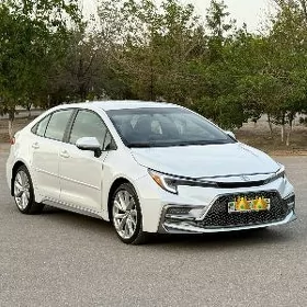 Toyota Corolla 2023
